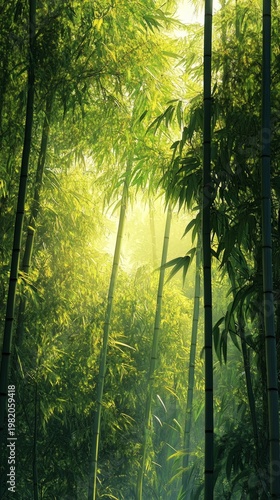 A tall bamboo forest bathed in sunlight symbolises growth, providing an inspiring backdrop for Eastern wisdom.