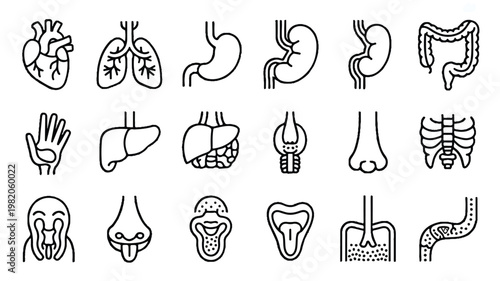  Black and white line drawing medical icons of human body parts and organs