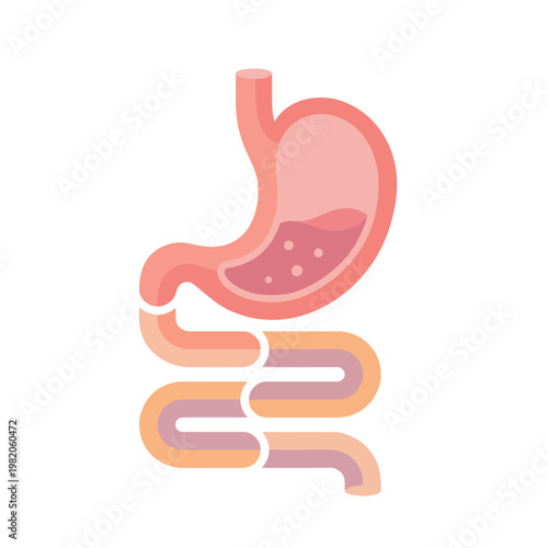 This illustration depicts the human digestive system, highlighting key organs in a simplified and artistic way, emphasizing health and anatomy education for viewers.
