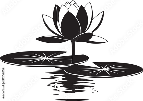 Black and white lotus flower on lily pads in water 2