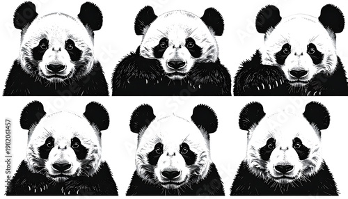 Six adorable panda faces are arranged in rows, with varied expressions and fur textures