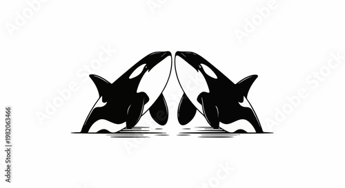Two killer whales, black and white, facing each other with waves