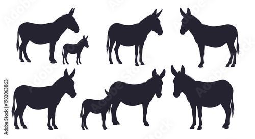 Collection of black silhouettes of donkeys and their foals in various standing poses, illustrating farm animals on a clean white background.