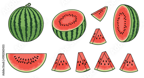 Illustration set of whole watermelon half cuts and various triangular slices for summer food and fruit concepts.
