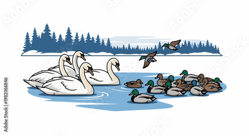Swans and ducks gather on a frozen lake with a winter forest backdrop