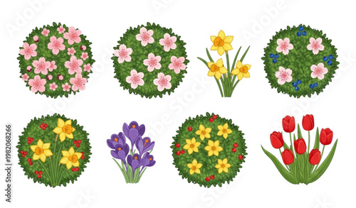 Spring shrub plants vector cartoon hedge green bushes floral set