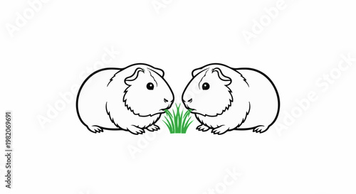 Two cute guinea pigs munching on a patch of grass