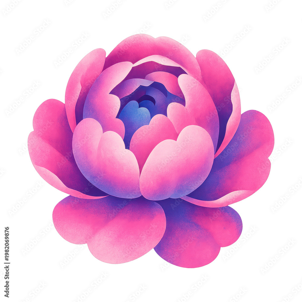 Fototapeta premium PNG Vibrant pink flower illustration