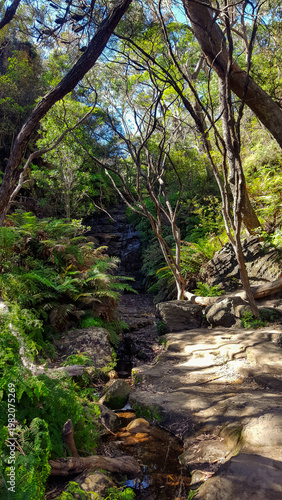 Hiking in the Blue Mountains