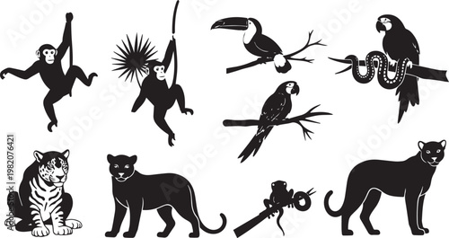 Jungle Animal Silhouettes – Monkeys, Parrots, Toucan, Jaguar, Panther, Frog, and Snake Icons