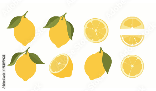 Fresh yellow lemon vector set with whole cut slices and leaves in clean modern flat illustration style