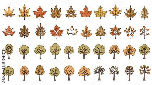 Large set of stylized autumn leaves and forest trees in various shapes and colors ranging from yellow and orange to deep brown tones.