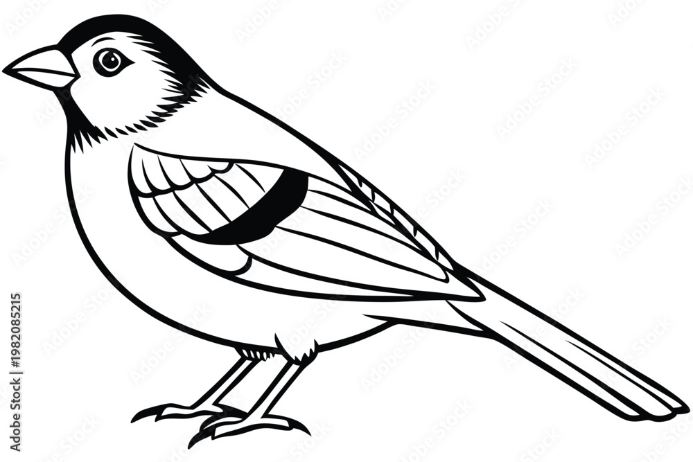 Obraz premium finch bird silhouette line art vector illustration with a white background