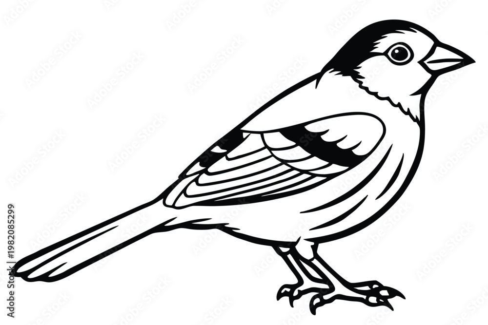 Fototapeta premium finch bird silhouette line art vector illustration with a white background