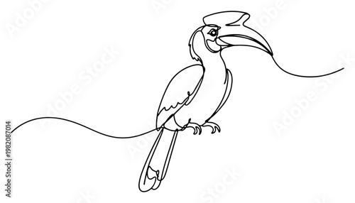 Hornbill bird with large beak in minimalist continuous line art style
