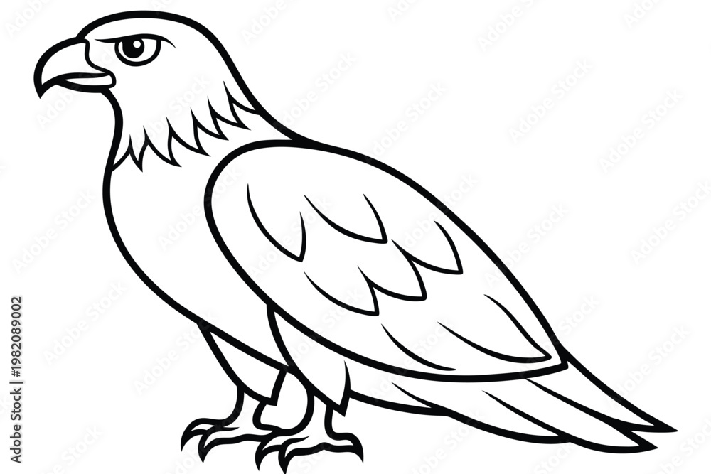Obraz premium eagle bird silhouette line art vector illustration with a white background