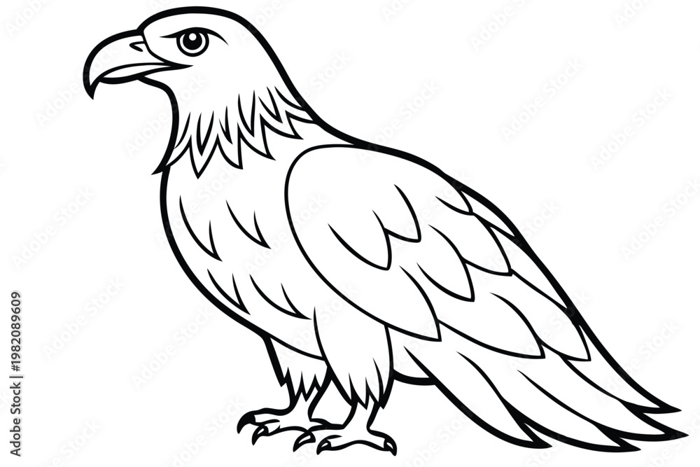 Obraz premium eagle bird silhouette line art vector illustration with a white background