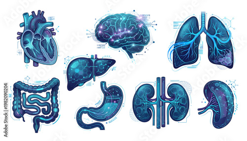 futuristic glowing blue human anatomy internal organs vector set on transparent background