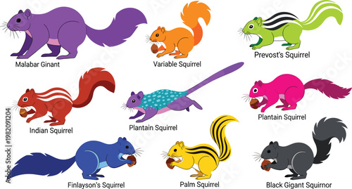 Colorful Vector Set of Squirrel Species Including Malabar, Variable, and Indian Squirrels for Wildlife Illustrations and Designs