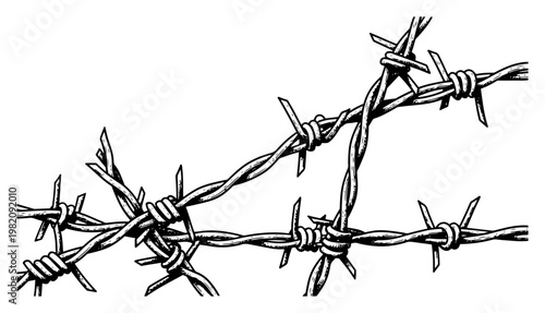 Obraz na plátně Barbed wire strands with sharp thorns for security and fence boundary