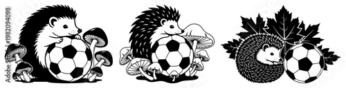 Hedgehog collection with soccer balls mushrooms and autumn leaves in line art graphic style