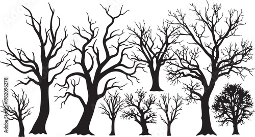 Set of Bare Winter Tree Silhouettes and Dead Branch Outlines Isolated on White Background for Landscape Design
