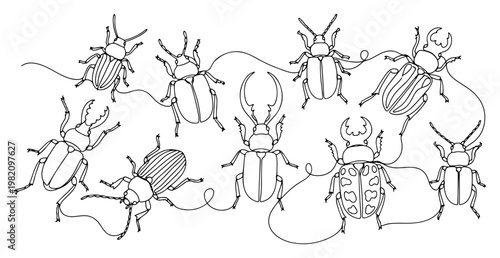 Beetle insect collection with various bugs in minimalist line art style