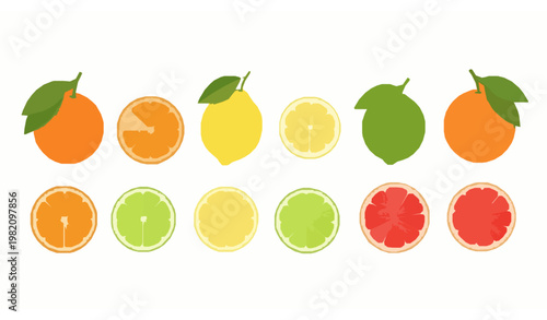 Fresh citrus fruits vector set with orange lemon lime grapefruit slices and leaves in clean modern style
