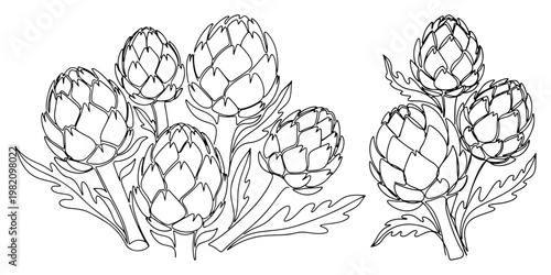 Artichoke vegetable heads and leaves in continuous line drawing style