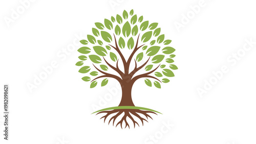 Tree vector illustration with green leaves and brown roots on white background