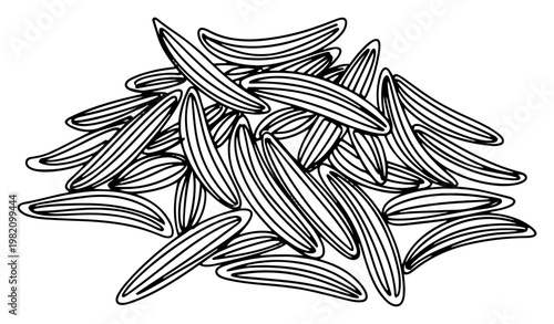 Cumin seeds or fennel spices pile in detailed line art style
