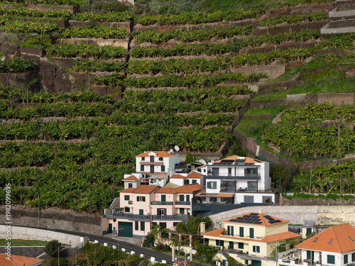 Porto de Câmara de Lobos harbor, Câmara de Lobos Madeira Portugal colorful fishing port and coastal village on Atlantic shoreline.