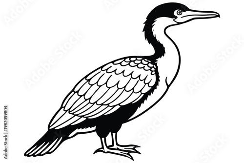 Tableau sur toile cormorant bird silhouette line art vector illustration with a white background