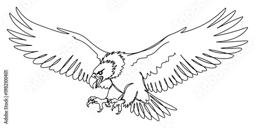 Eagle flying with spread wings and sharp talons in continuous line art style