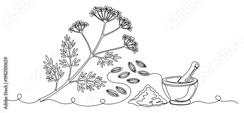 Dill plant with seeds and mortar and pestle for seasoning continuous line art style