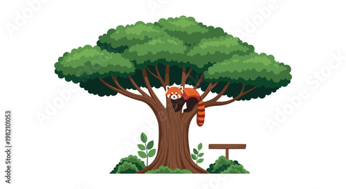 Adorable red panda with a long striped tail resting comfortably on the branch of a large green leafy tree in its natural habitat setting.