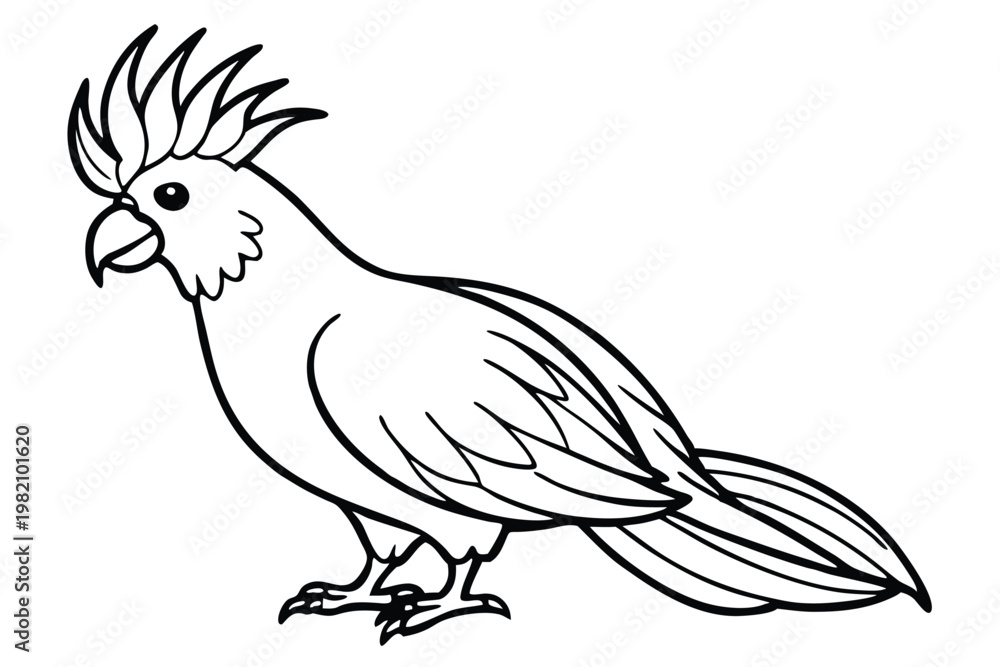Fototapeta premium cockatoo bird silhouette line art vector illustration with a white background