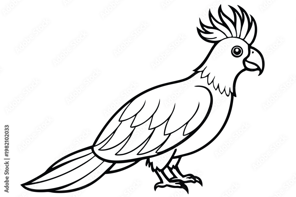 Fototapeta premium cockatoo bird silhouette line art vector illustration with a white background