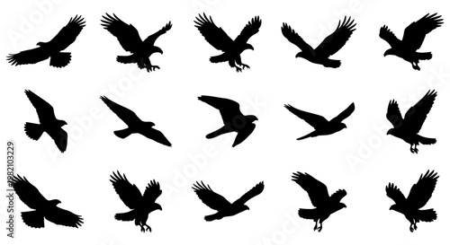 Eagle silhouette set with 15 vector elements, flying bird of prey icons, black hawk and falcon shapes in flight, soaring raptor graphics for logos