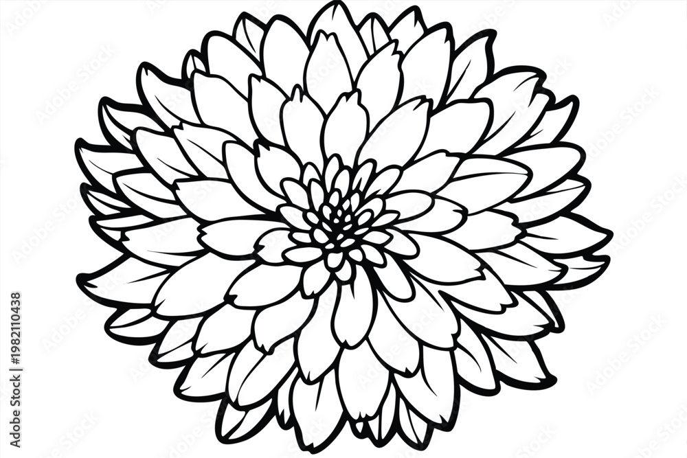 Fototapeta premium chrysanthemum flower silhouette line art vector illustration with a white background