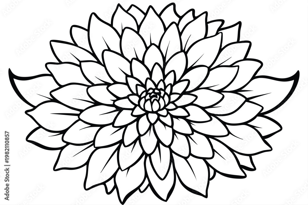 Fototapeta premium chrysanthemum flower silhouette line art vector illustration with a white background