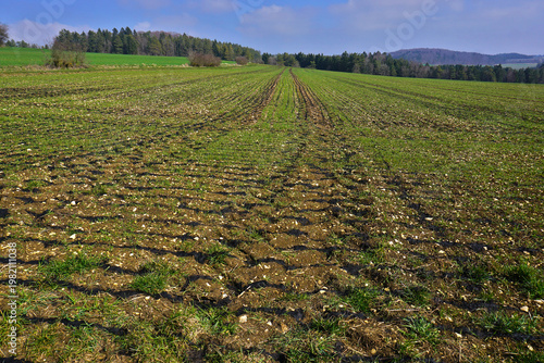 Acker mit Gülle gedüngt auf der Schwäbischen Alb