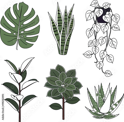 Collection of minimalist houseplant vector illustrations with houseplant