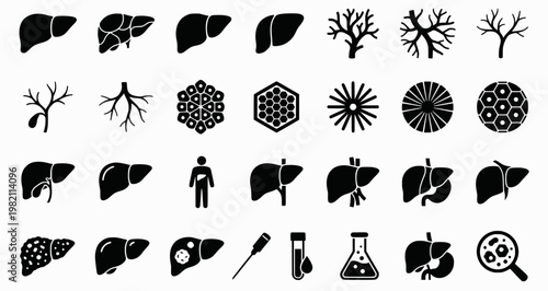 Liver Anatomy Icons. Outline icon set of liver anatomy basics: liver lobes, hepatic artery, portal vein, bile
