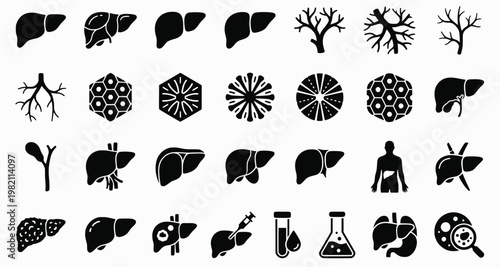 Liver Anatomy Icons. Outline icon set of liver anatomy basics: liver lobes, hepatic artery, portal vein, bile
