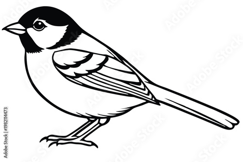 chickadee bird silhouette line art vector illustration with a white background