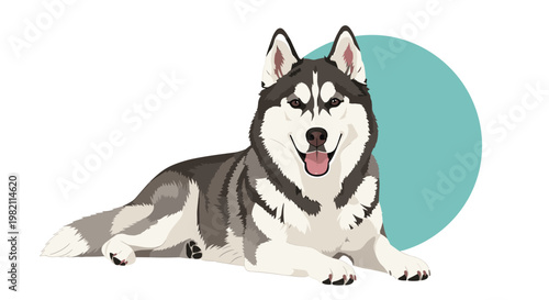 Siberian husky dog lies calmly on a white surface with a minimalist blue circular background element in a professional digital illustration style.