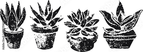 black silhouette of four distinct potted succulent plants with textured design