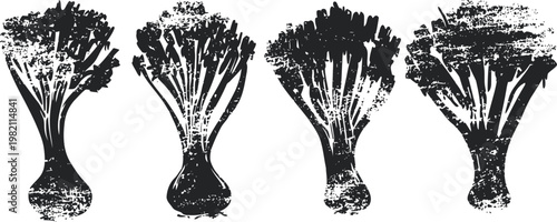 four black and white stylized broccoli illustrations in vintage engraving with detailed textures and shading