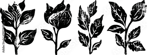 vintage black botanical illustrations of various leaves and flower buds in silhouette
